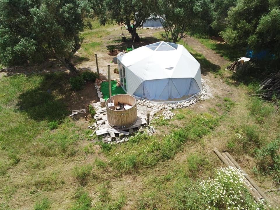 Forest Domes Setúbal Buitenkant foto