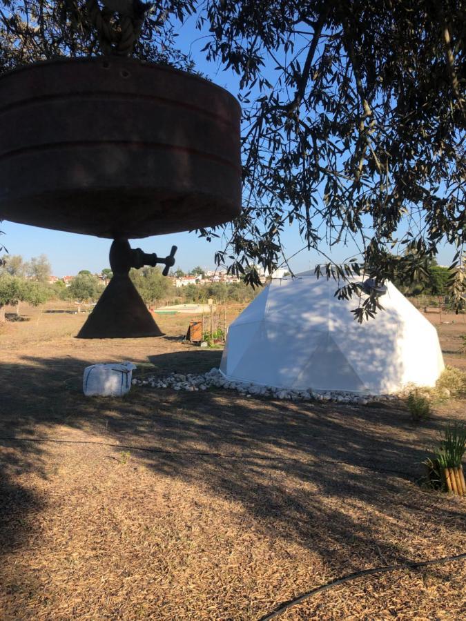 Forest Domes Setúbal Buitenkant foto